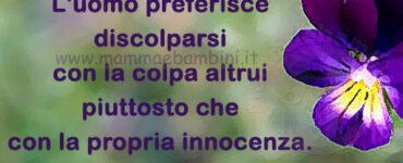 frase del giorno colpe