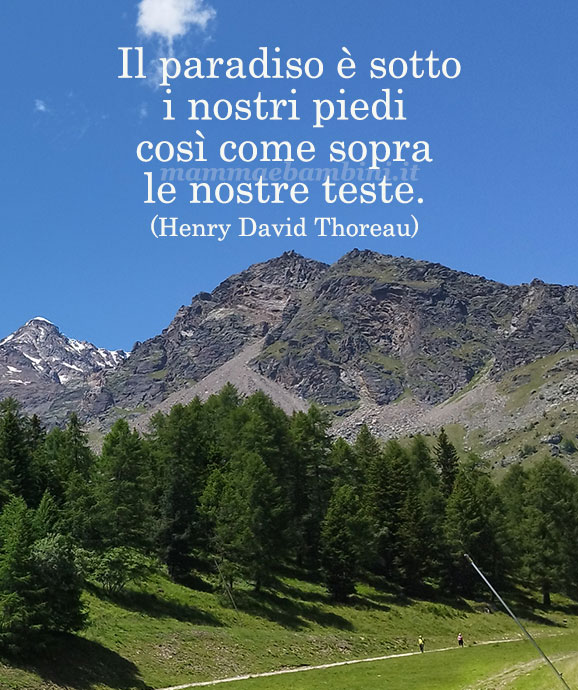 frase del giorno paradiso