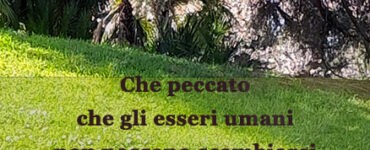 frase del giorno problemi