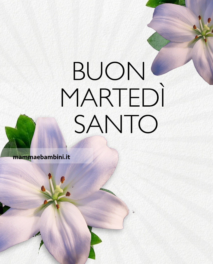 buon martedi santo