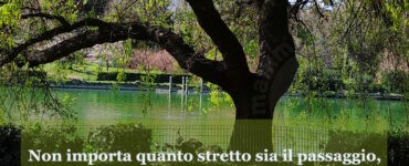 frase del giorno anima