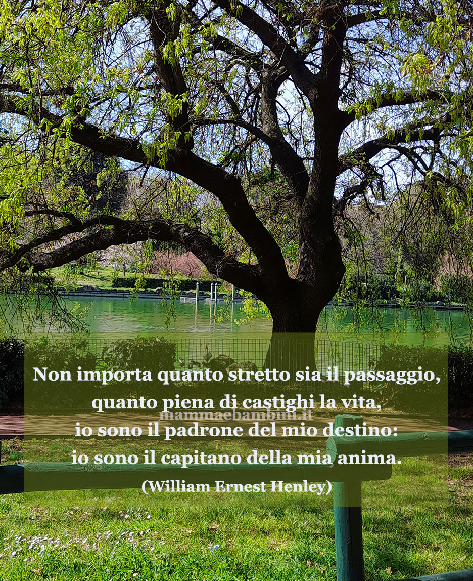 frase del giorno anima