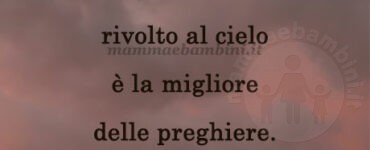 frase del giorno gratitudine