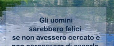 frase del giorno felicita