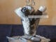 bouquet tovaglioli rose argento 25