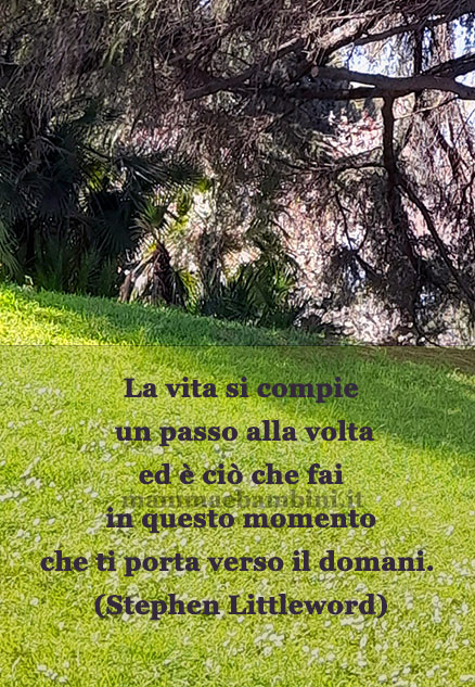 frase del giorno vita