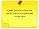 frase sulla maturita