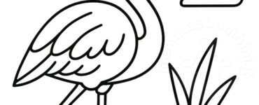fenicottero disegno