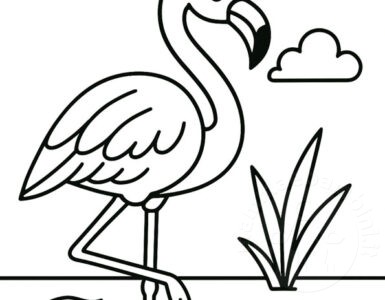 fenicottero disegno