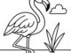 fenicottero disegno
