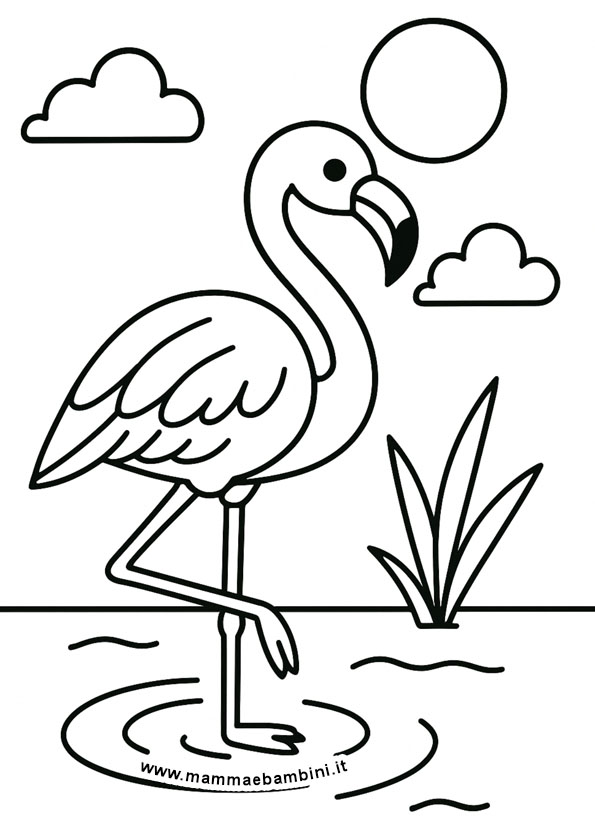 Disegno fenicottero da colorare con contorni netti e sfondo bianco.
