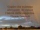 frase del giorno capire