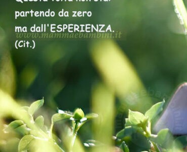 frase del giorno esperienza