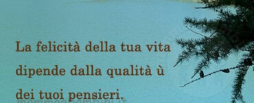 frase del giorno felicita