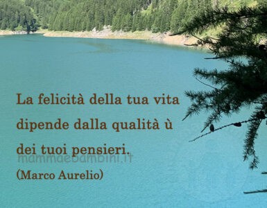 frase del giorno felicita