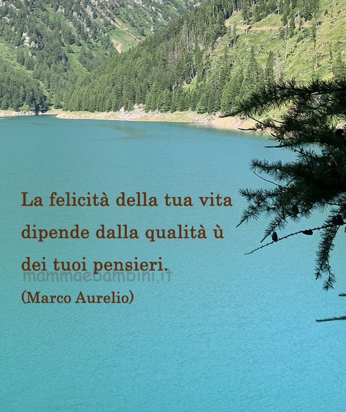 frase del giorno felicita