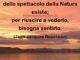 frase del giono natura