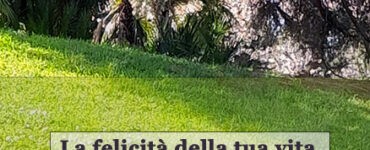frase del giorno felicita