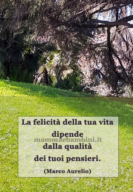frase del giorno felicita