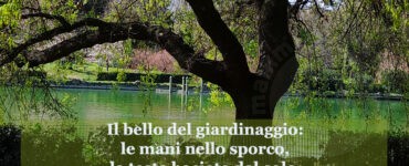 frase del giorno giardinaggio