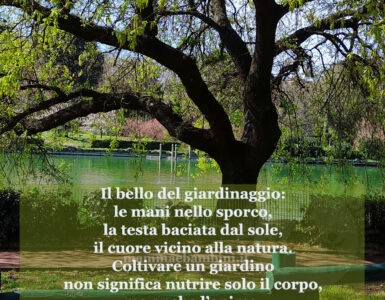 frase del giorno giardinaggio