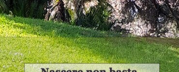 frase del giorno nascere