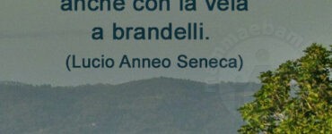 frase del giorno timoniere