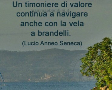 frase del giorno timoniere