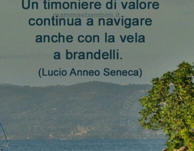 frase del giorno timoniere