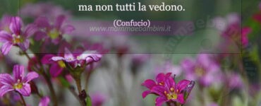 frase del giorno bellezza