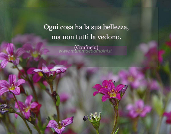 frase del giorno bellezza