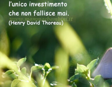 frase del giorno bonta