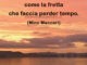 Frase del giorno 25 ottobre sulla fretta 19 frase del giorno fretta