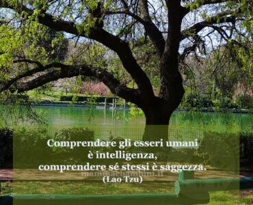 frase del giorno intelligenza