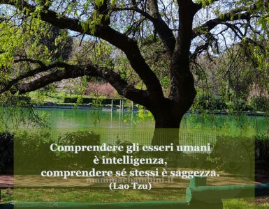 frase del giorno intelligenza
