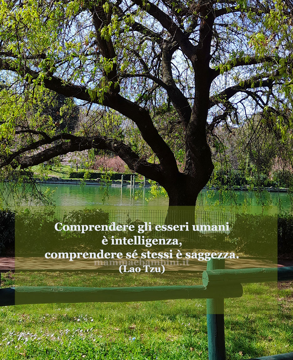 frase del giorno intelligenza