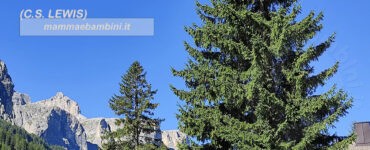 frase del giorno obiettivo