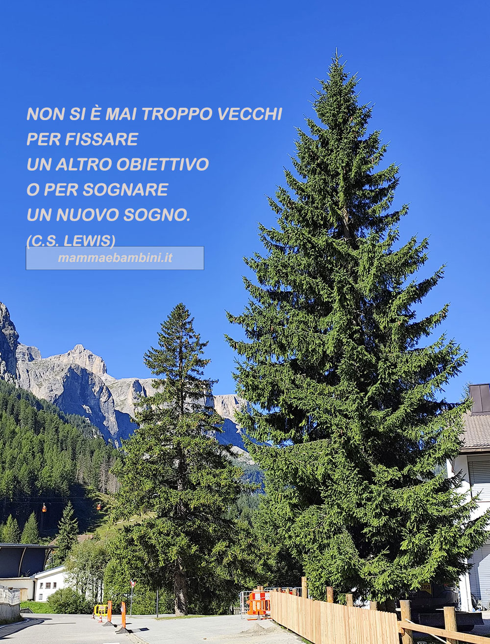 frase del giorno obiettivo