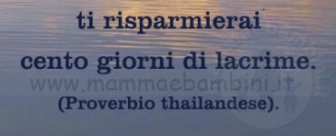 Frase del giorno 27 ottobre sulla pazienza 1 frase del giorno pazienza