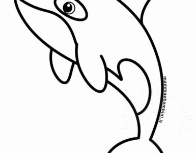 orca da colorare