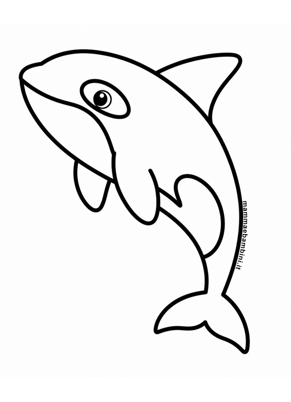 Orca da colorare 3 orca da colorare